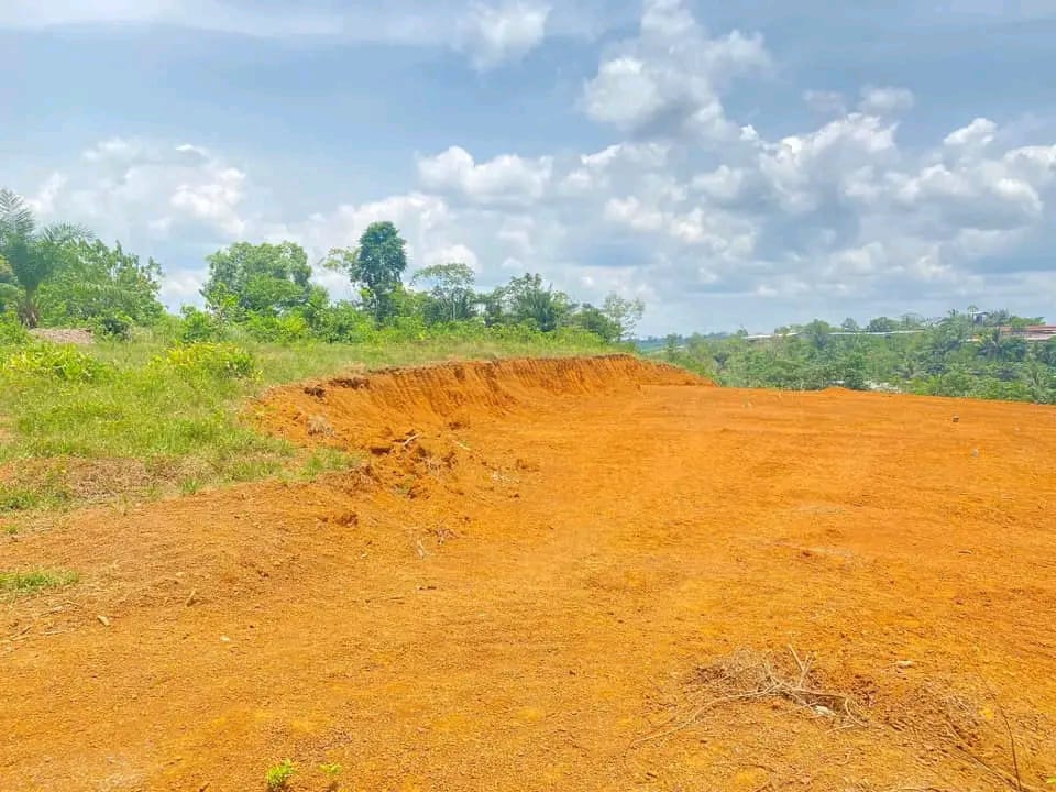Terrain Nkondjock-Dibamba