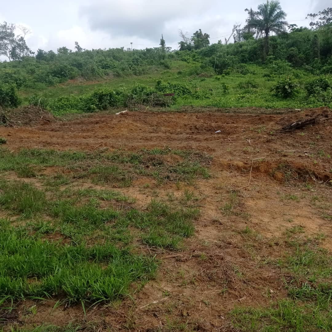 Terrain Nkondjock-Dibamba