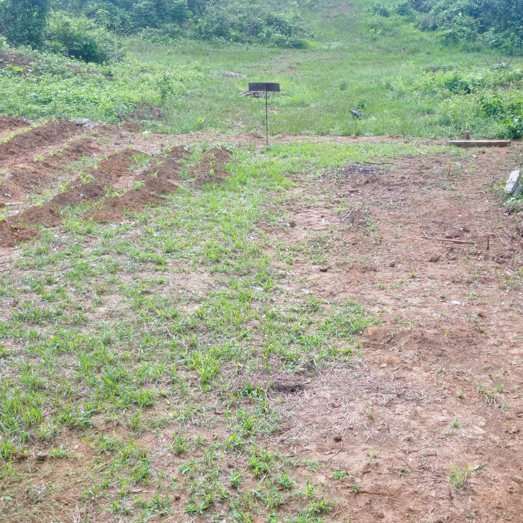 Terrain Nkondjock-Dibamba